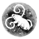 Boutique Éditions Les Tardigrades